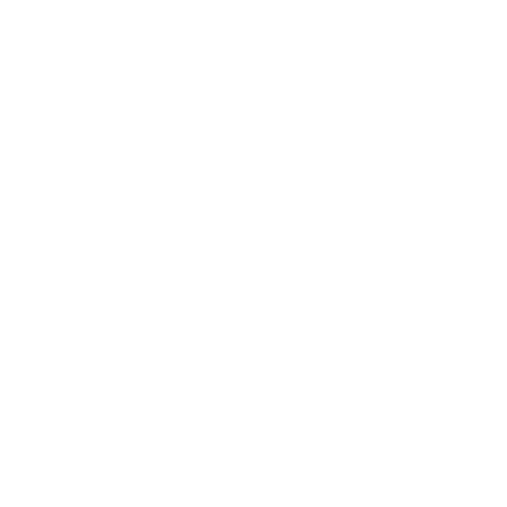 SDFM 2520